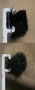 Seals_4b1ec5a00a869.jpg